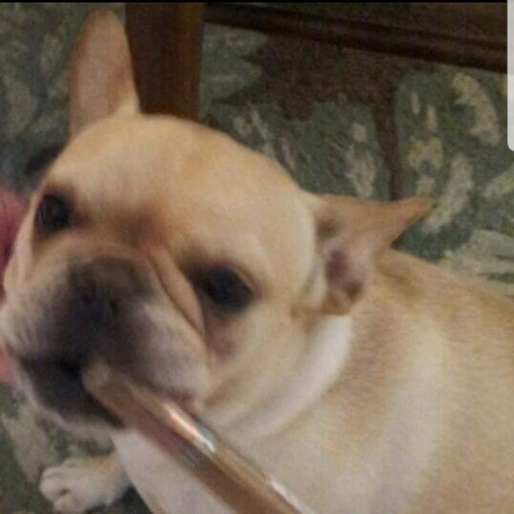 Meet your Posher, Jeni - Picture 3 of 8